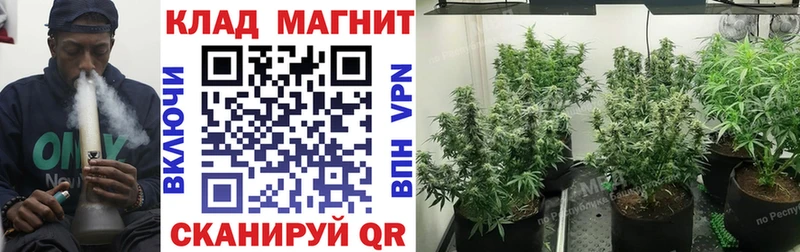 Наркошоп купить Гашиш Кокаин МДМА МЕФ Сунжа
